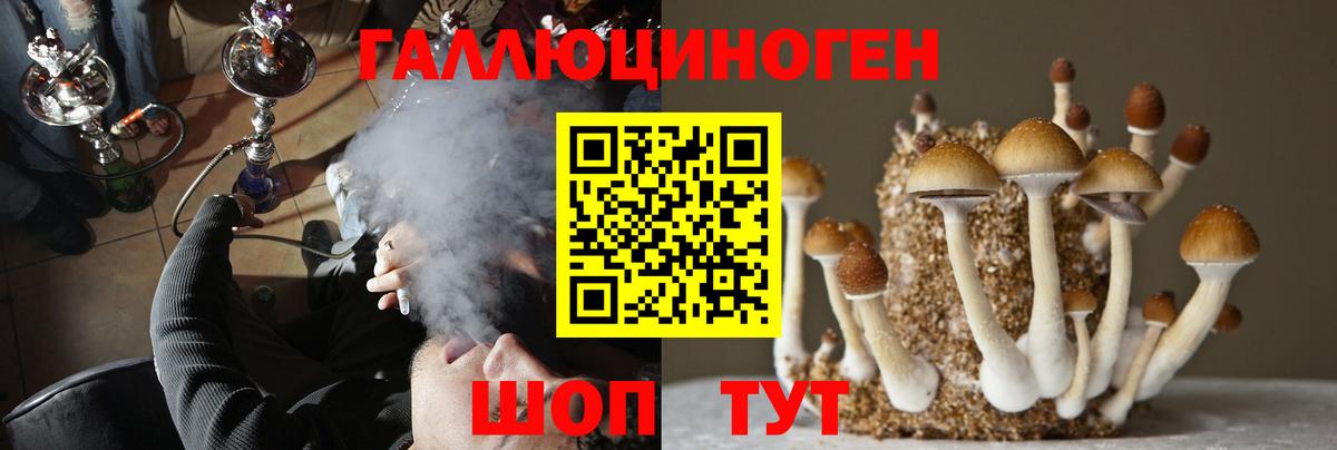 Галлюциногенные грибы MAGIC MUSHROOMS  Вход с VPN  Ржев 